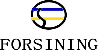 forsining.com.br