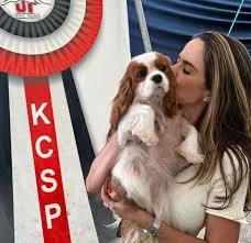 kcsp.com.br