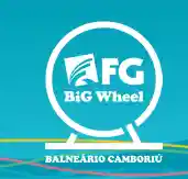 fgbigwheel.com.br
