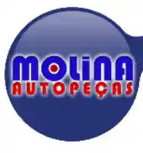 autopecasmolina.com.br