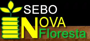 novafloresta.com.br